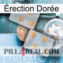 Érection Dorée 25